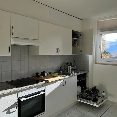 Spacious Flat Centrally Located, Free Parking Lugano